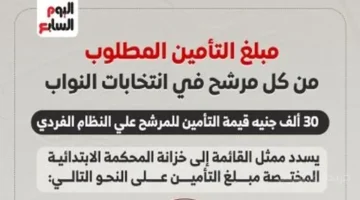 رسميًا.. المبلغ المطلوب للترشح في انتخابات النواب تعرف على قيمة التأمين 1